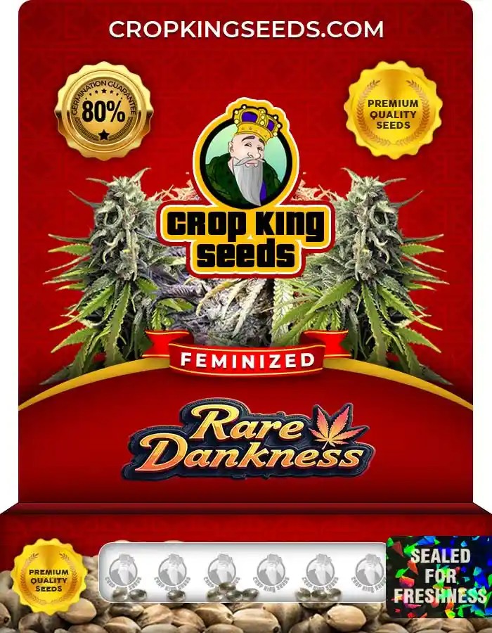 Rare Dankness Feminized Seeds