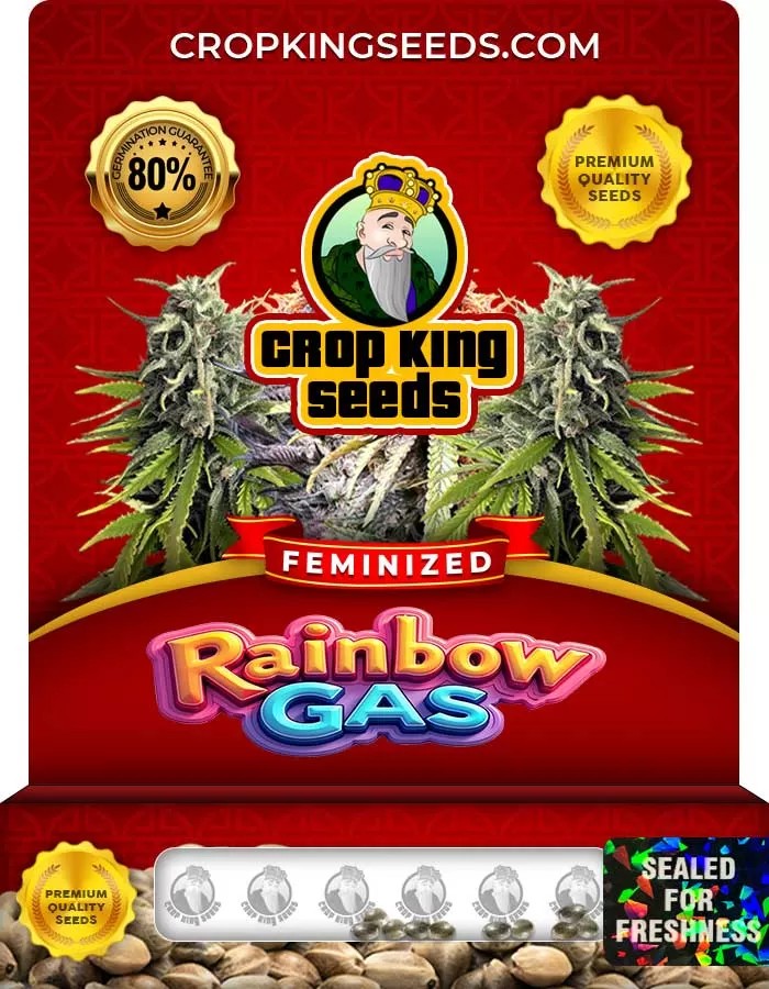 Rainbow Gas Strain Feminized Seeds