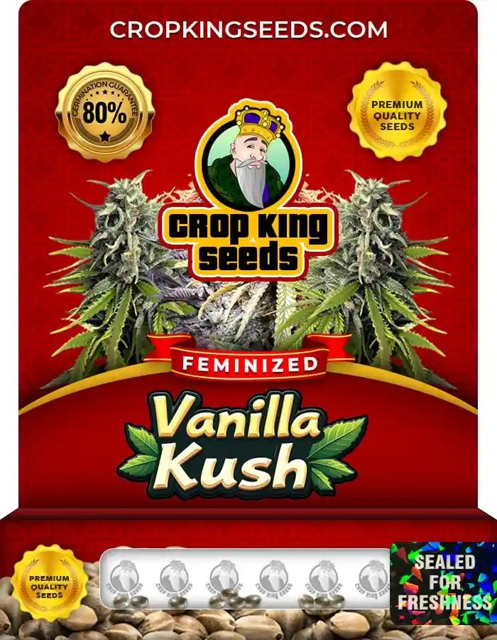 Vanilla Kush Feminized Marijuana Seeds