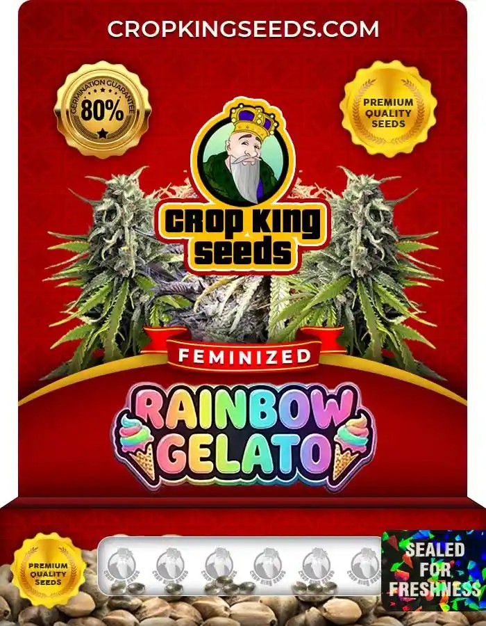 Rainbow Gelato Feminized Seeds