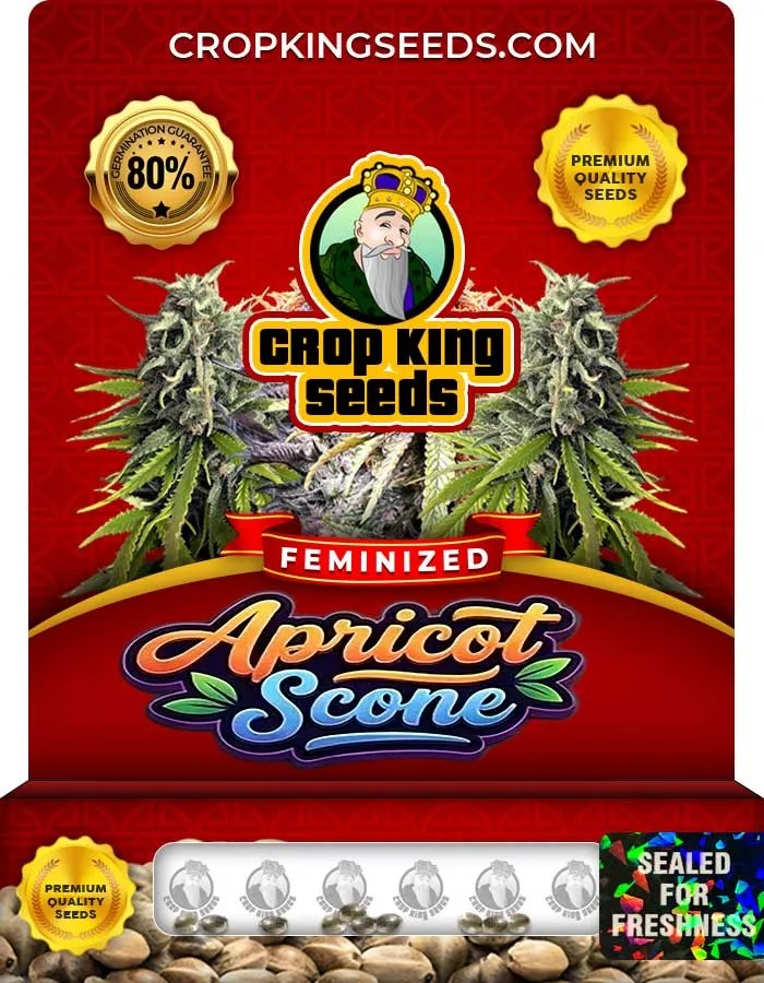 Apricot Scone Strain Feminized Seeds