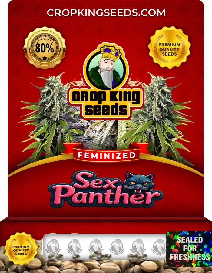 Sex Panther Feminized Seeds