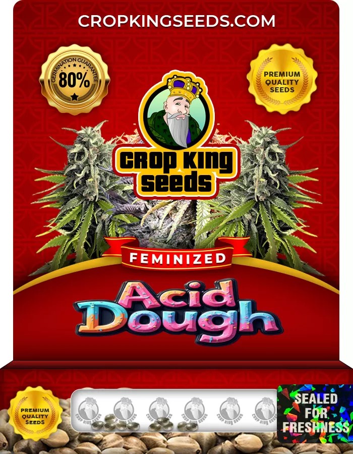 Acid Dough Feminized Marijuana Seeds