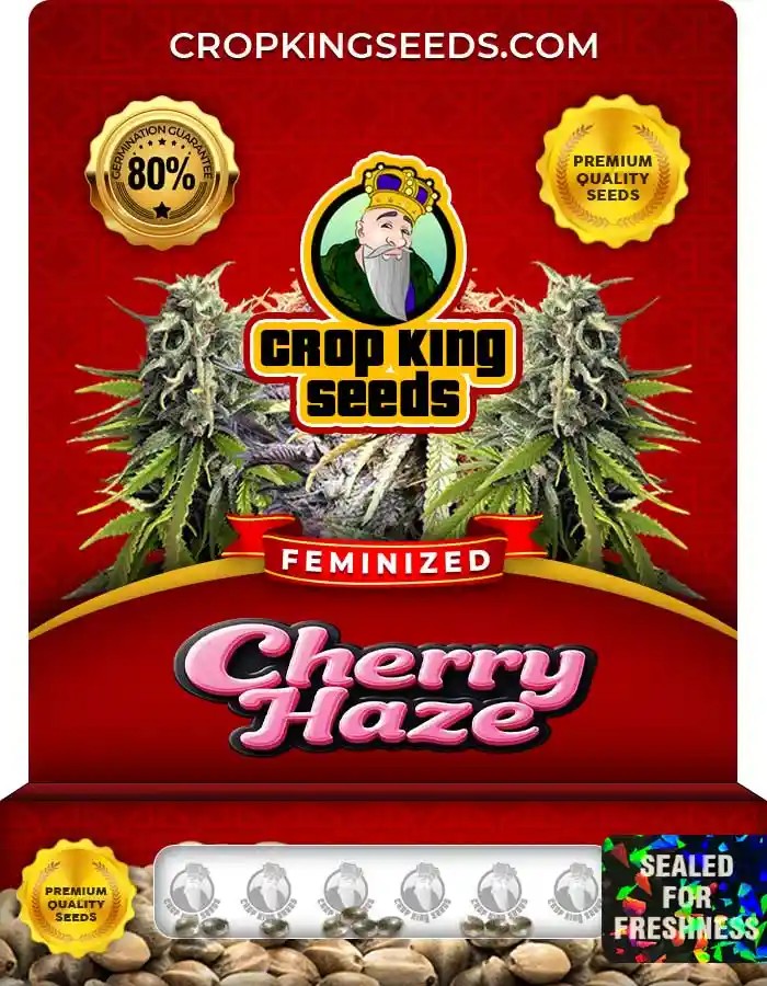 Cherry Haze Feminized Seeds