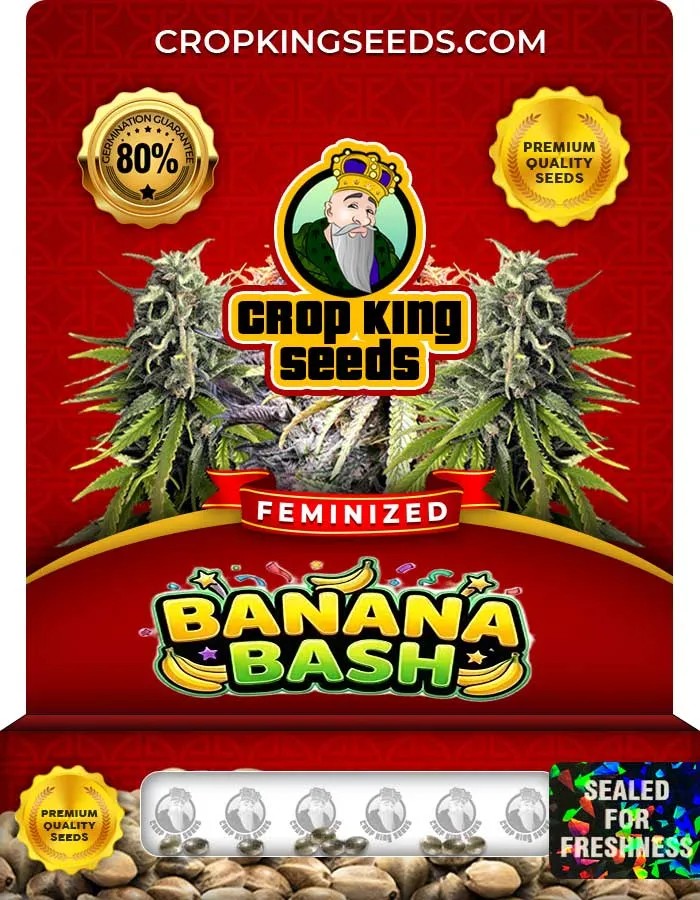 Banana Bash Strain Feminized Seeds