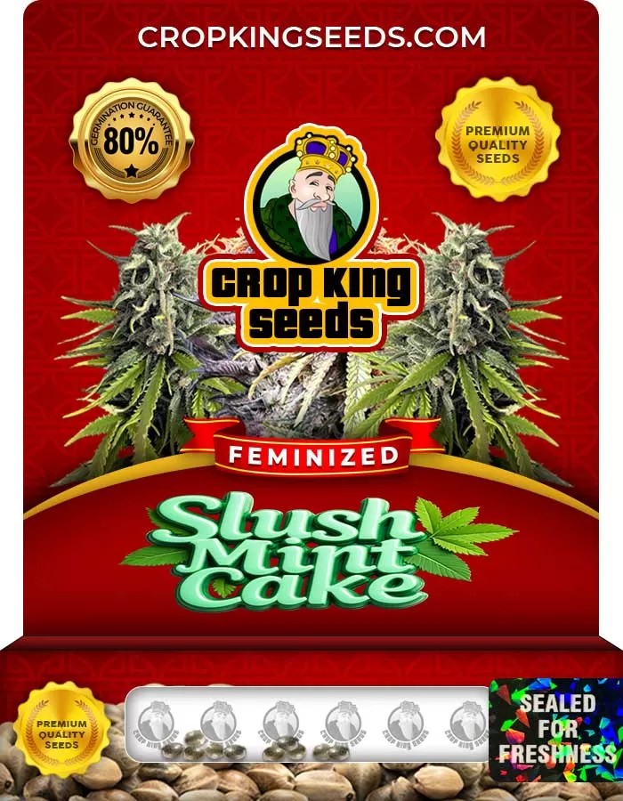 Slush Mint Cake Strain Feminized Seeds