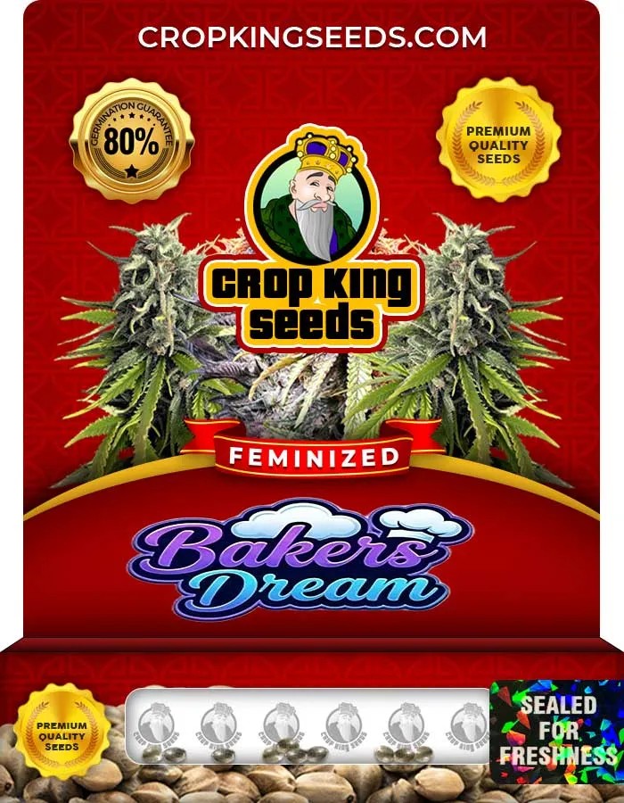 Bakers Dream Strain Feminized Seeds