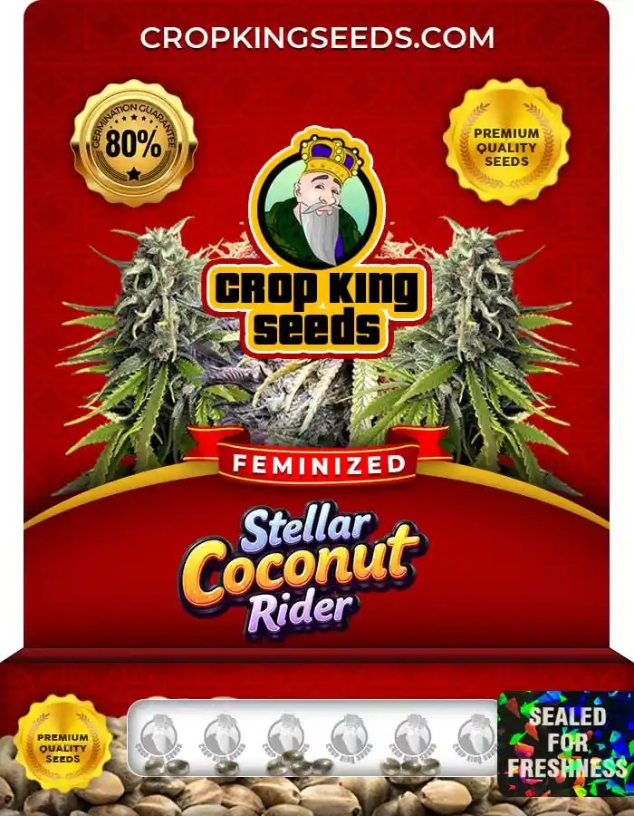 Stellar Coconut Rider Strain Feminized Seeds