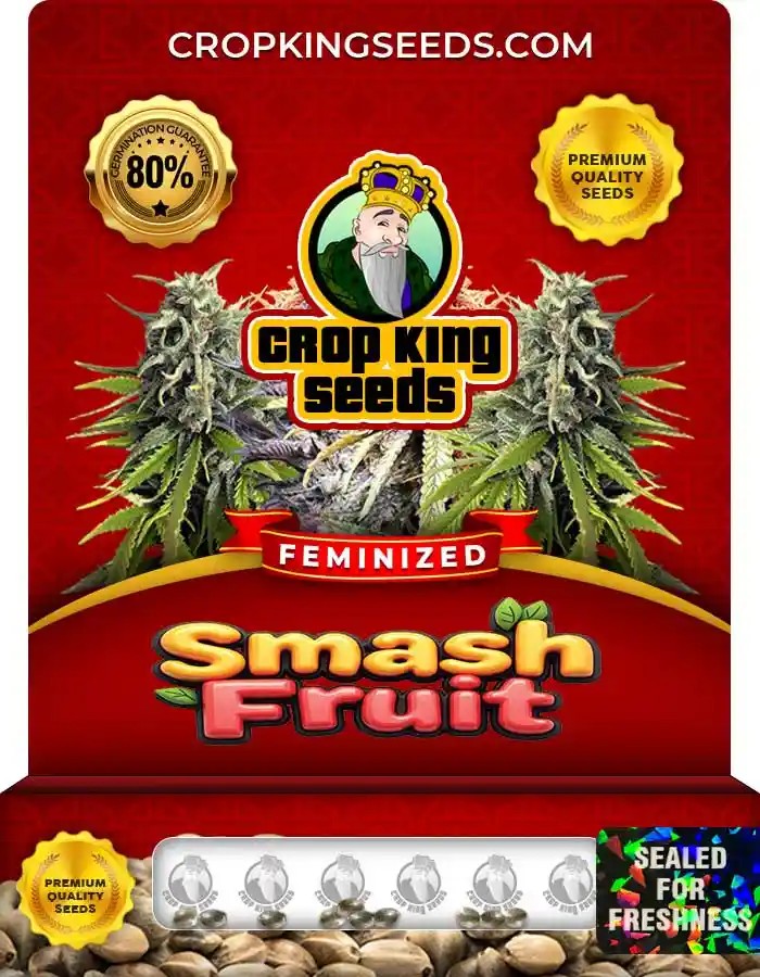 Smash Fruit Feminized Seeds