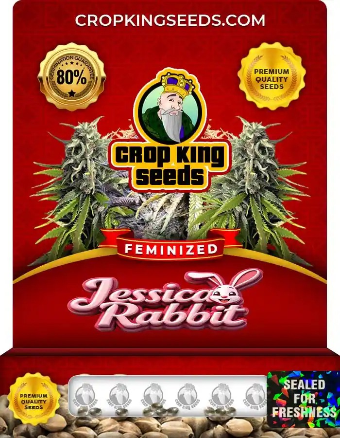 Jessica Rabbit Feminized Seeds