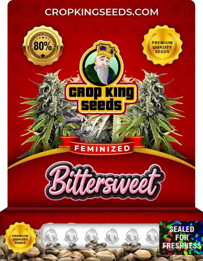 Bittersweet Strain Feminized Marijuana Seeds