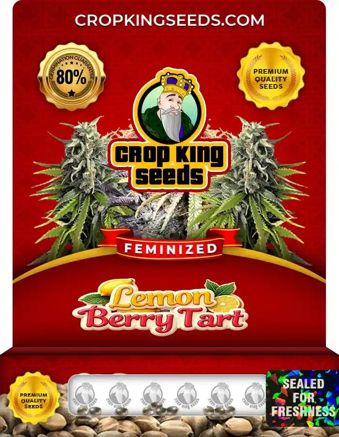 Lemon Berry Tart Strain Feminized Marijuana Seeds