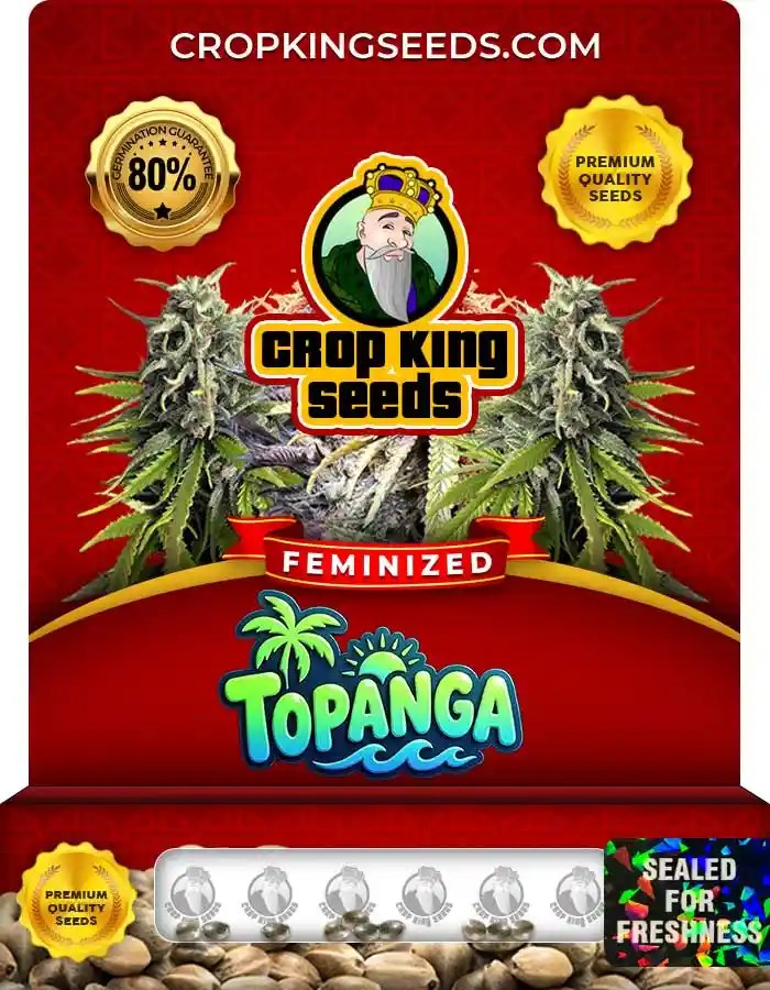 Topanga Strain Feminized Marijuana Seeds