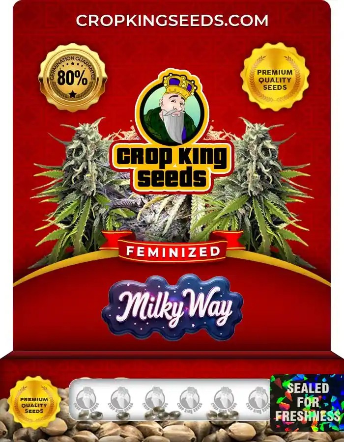 Milky Way Strain Feminized Marijuana Seeds