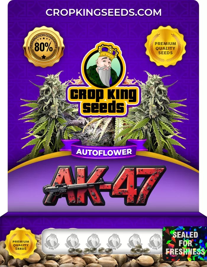 AK-47 Autoflowering Marijuana Seeds