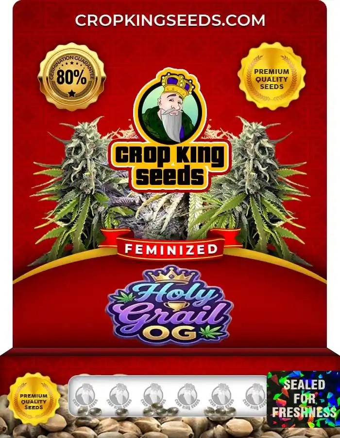 Holy Grail OG Strain Feminized Seeds