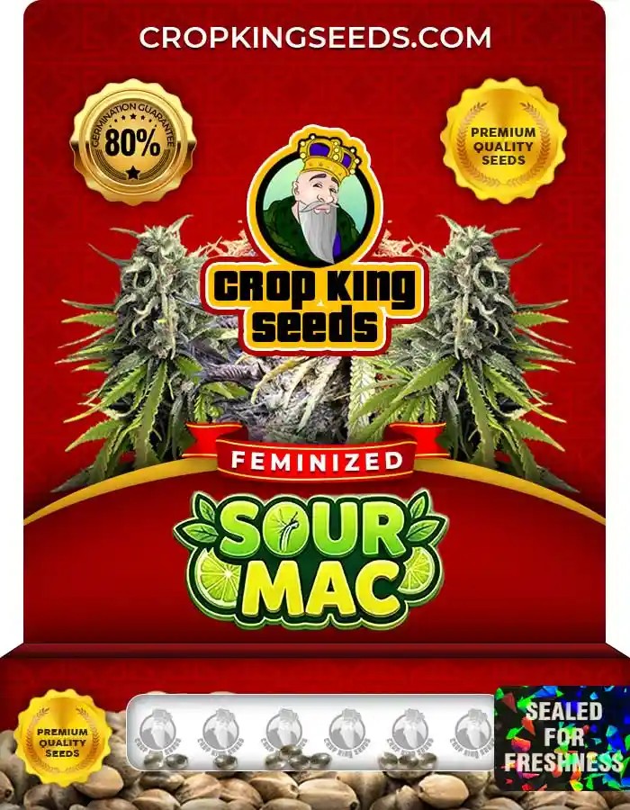 Sour Mac Feminized Seeds