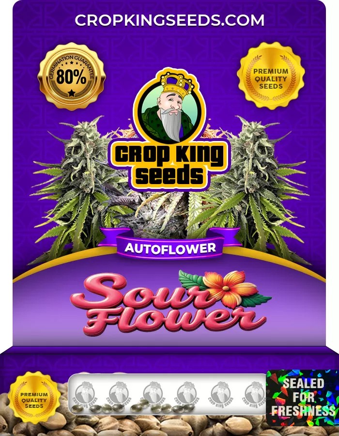 Sour Flower Autoflower Marijuana Seeds