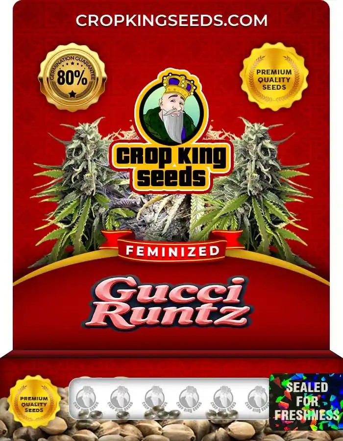 Gucci Runtz Feminized Seeds