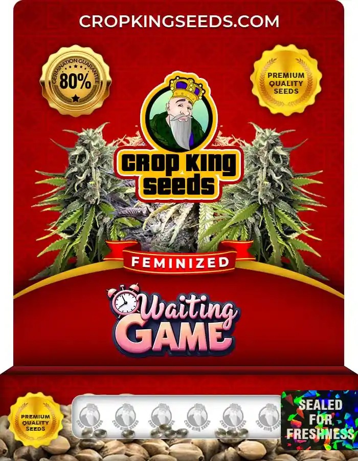 Waiting Game Strain Feminized Marijuana Seeds