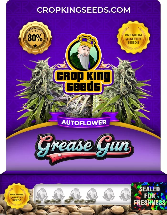 Grease Gun Autoflowering Feminized Marijuana Seeds