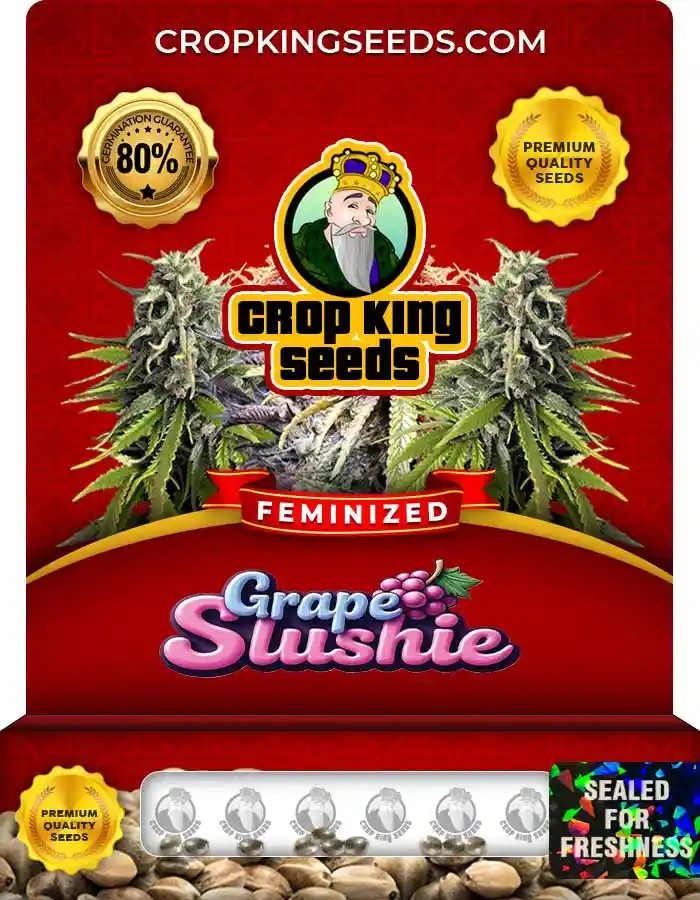 Grape Slushie Feminized Seeds