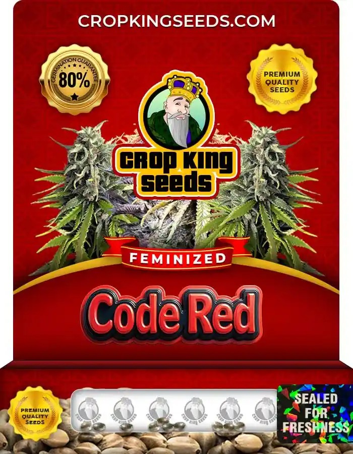 Code Red Strain Feminized Marijuana Seeds