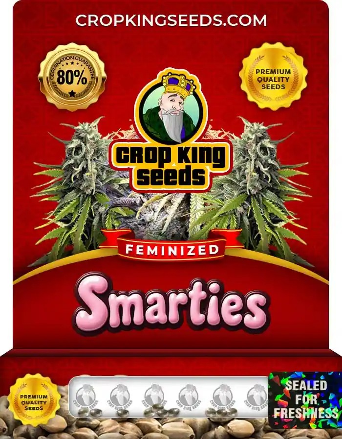 Smarties Strain Feminized Marijuana Seeds