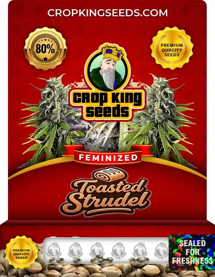 Toasted Strudel Strain Feminized Marijuana Seeds
