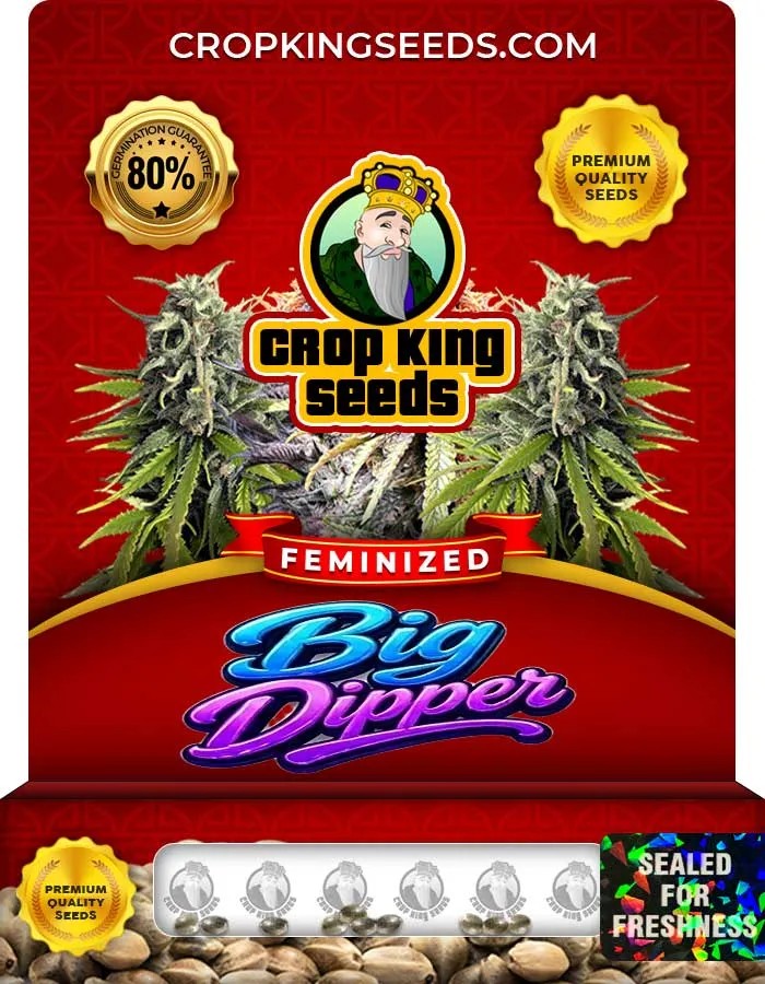 Big Dipper Strain Feminized Seeds