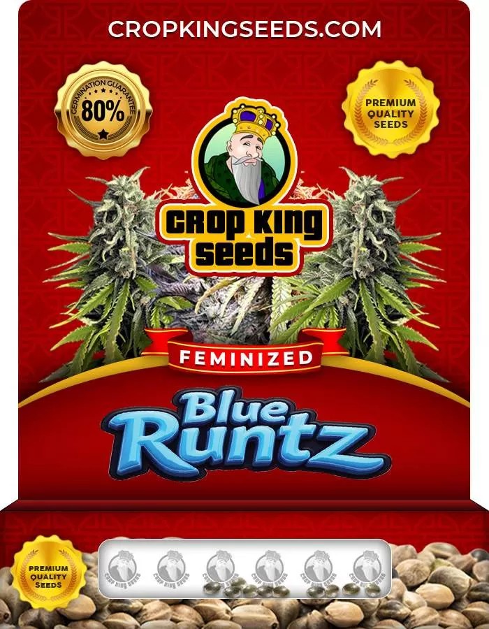 Blue Runtz Strain Feminized Marijuana Seeds