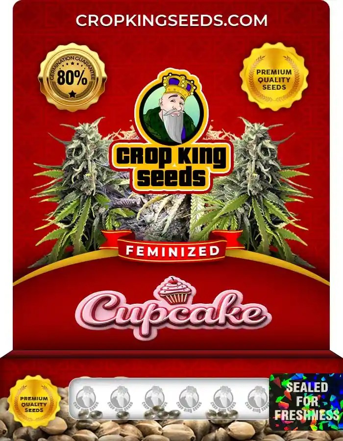 Cupcake Strain Feminized Marijuana Seeds