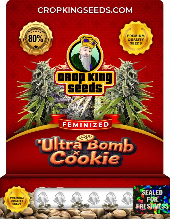 Ultra Bomb Cookie Strain Feminized Marijuana Seeds