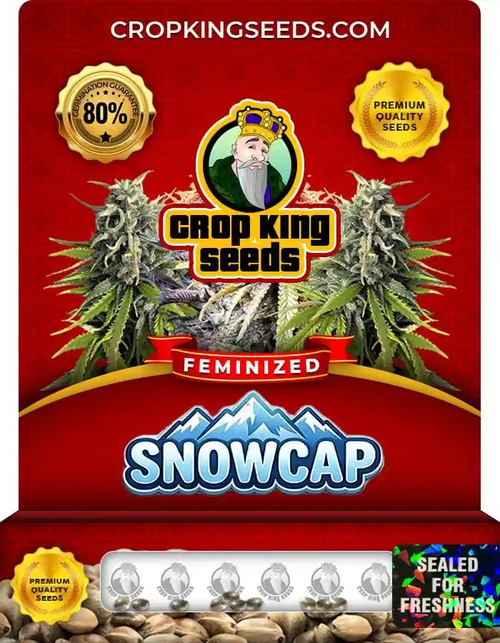 Snowcap Feminized Seeds