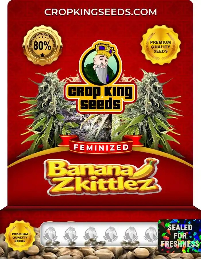 Banana Zkittlez Feminized Seeds