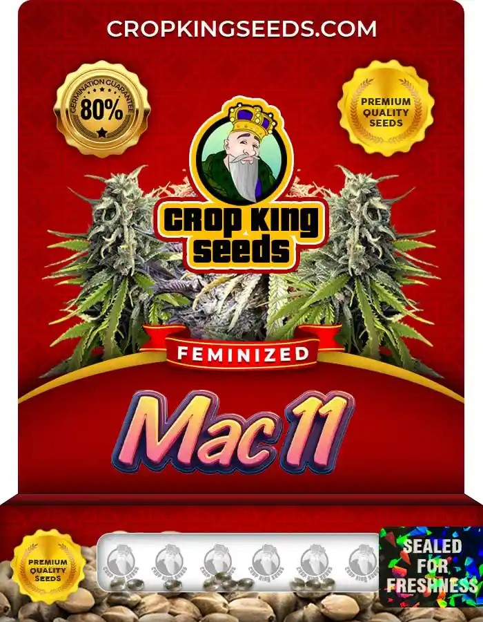 Mac 11 Strain Feminized Marijuana Seeds
