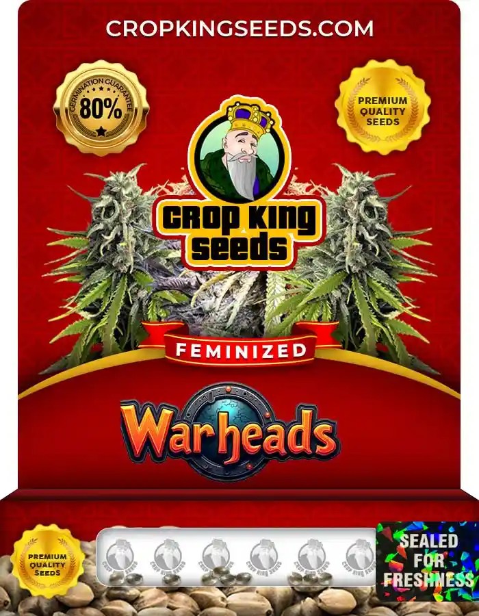 Warheads Strain Feminized Marijuana Seeds