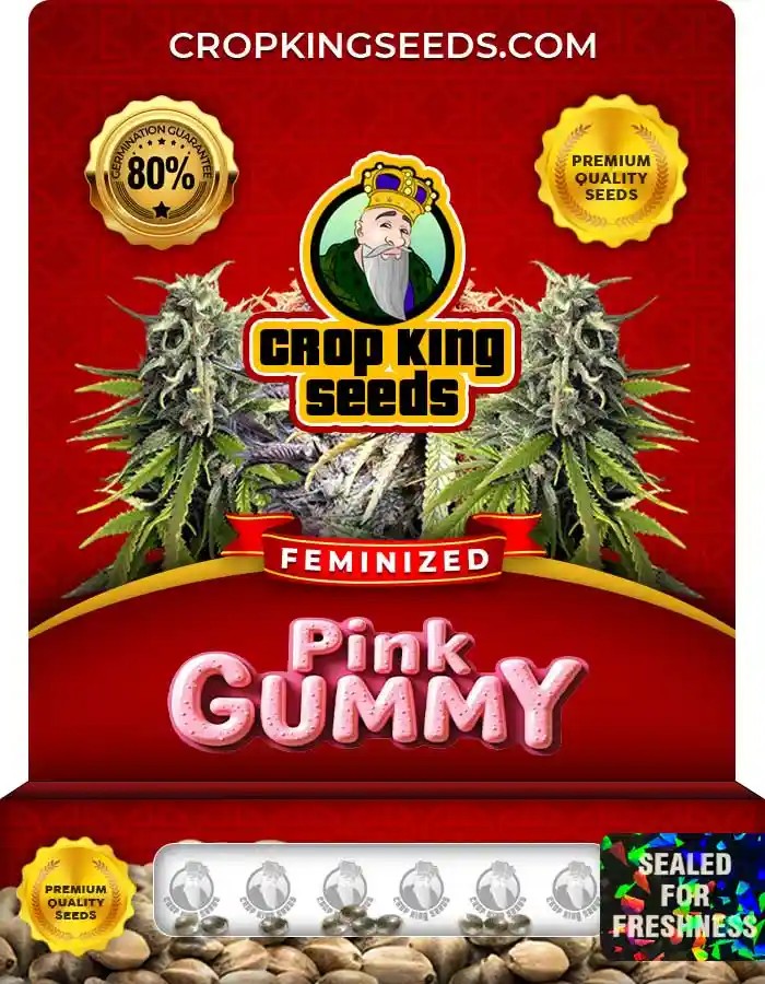 Pink Gummy Feminized Seeds