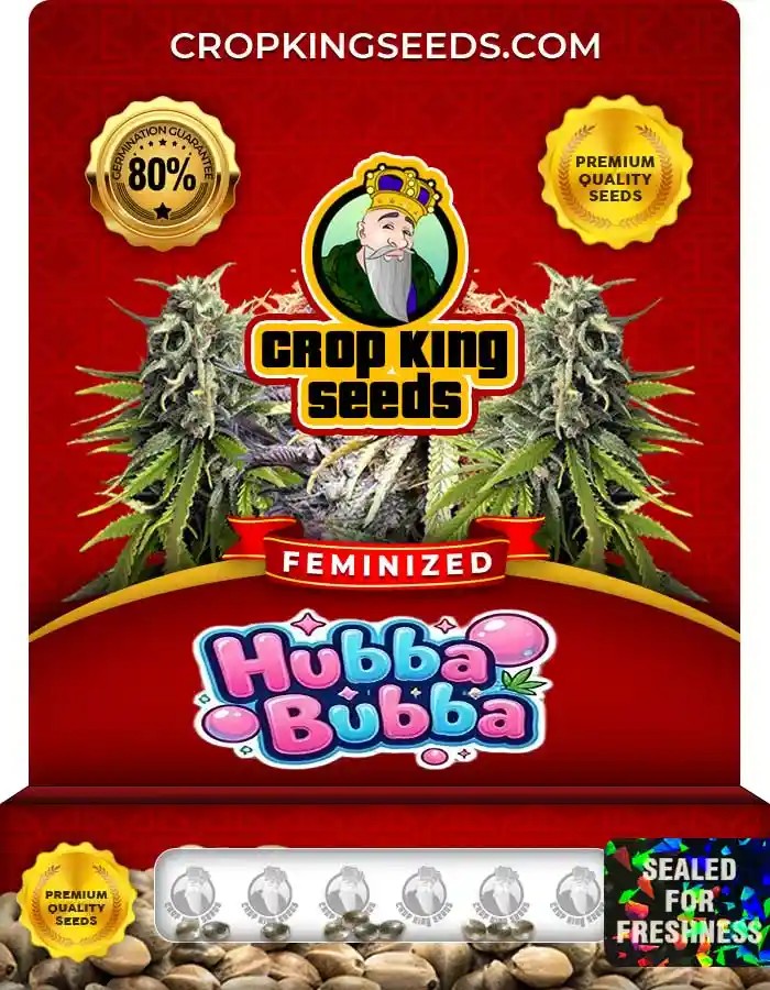 Hubba Bubba Strain Feminized Marijuana Seeds