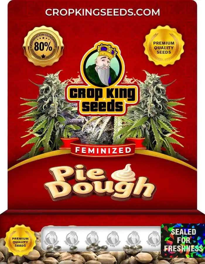 Pie Dough Feminized Seeds