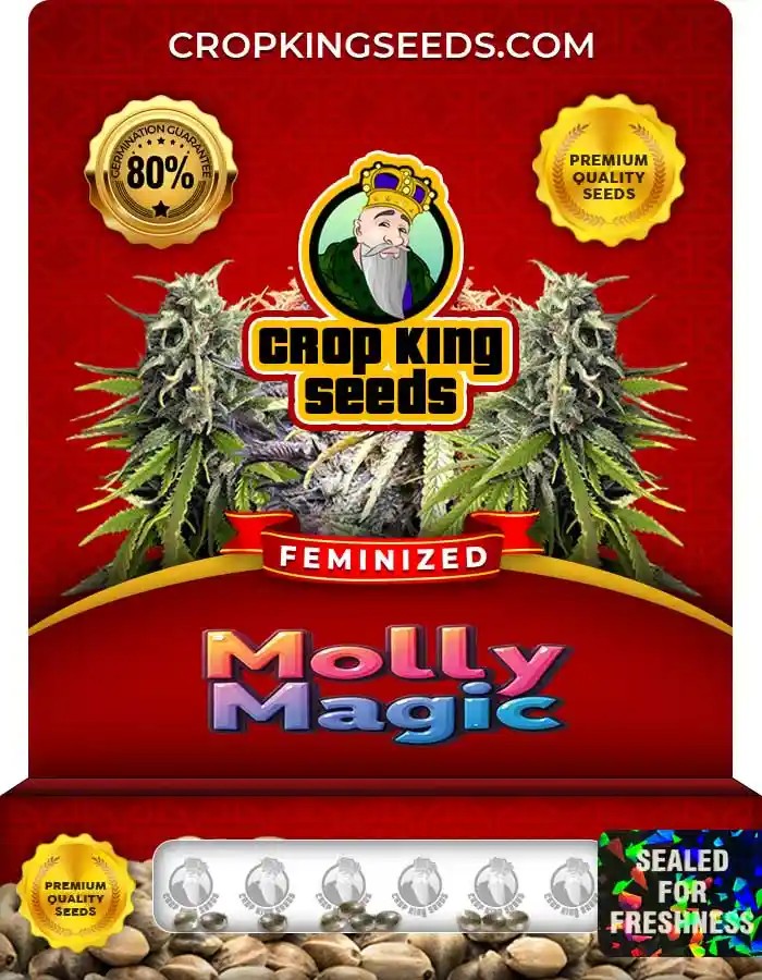 Molly Magic Feminized Seeds