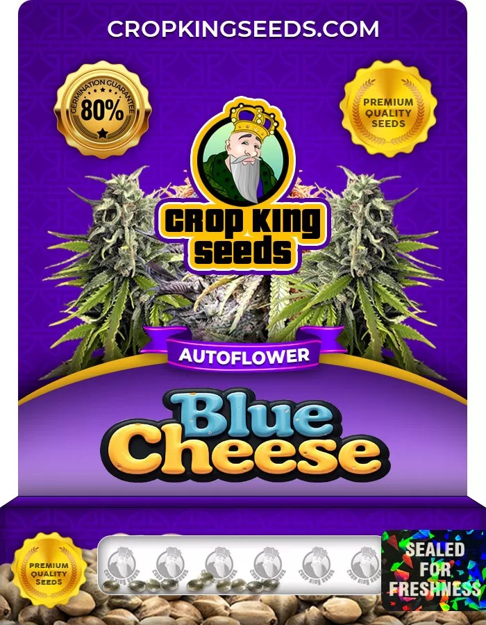 Blue Cheese Strain Autoflower Marijuana Seeds
