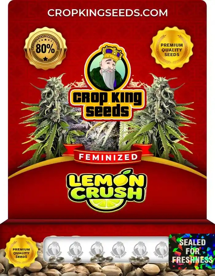 Lemon Crush Strain Feminized Marijuana Seeds