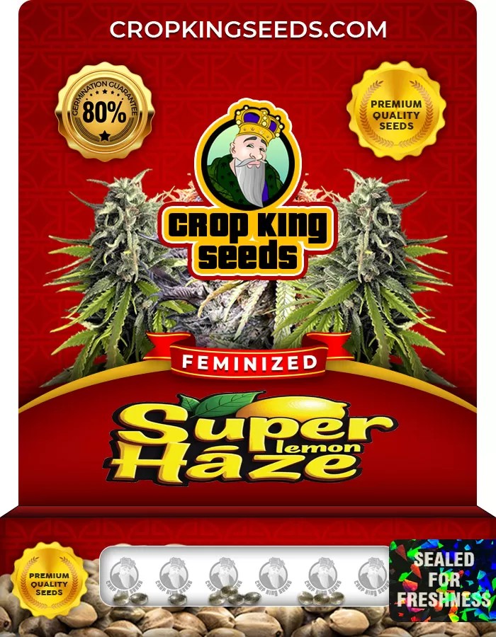 Super Lemon Haze Feminized Marijuana Seeds