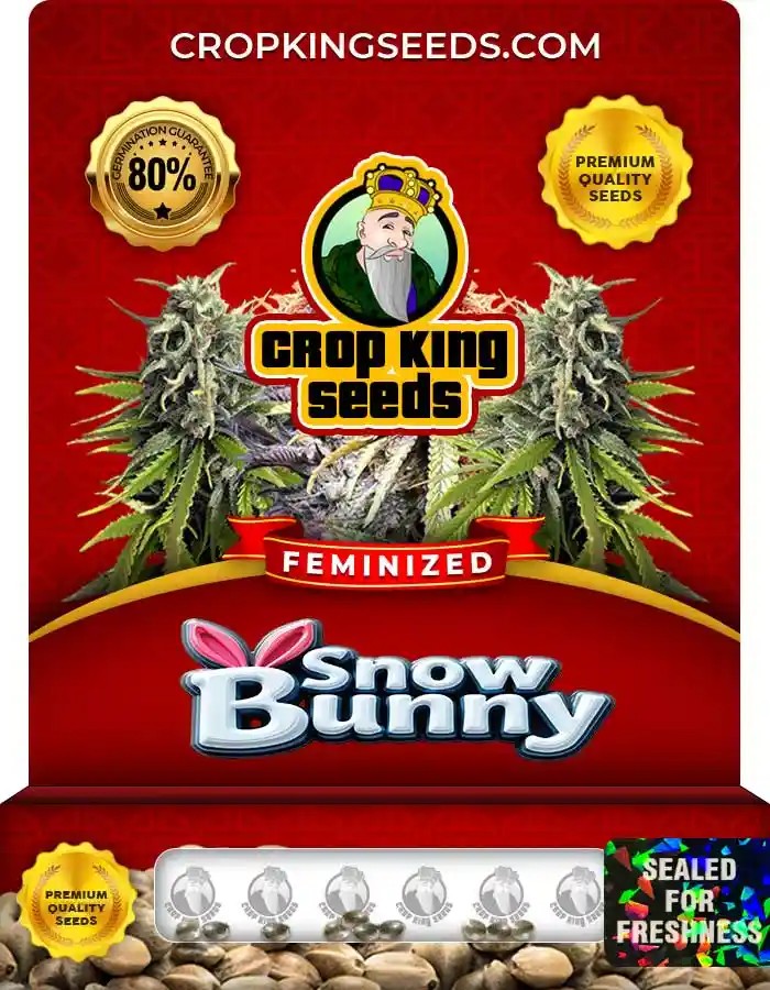 Snow Bunny Feminized Seeds