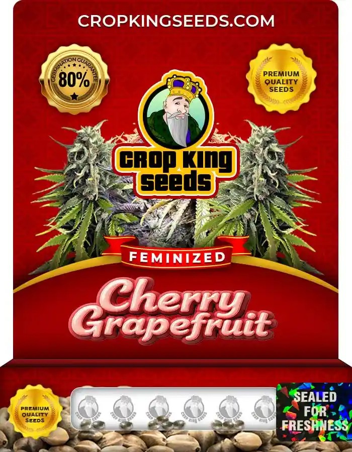 Cherry Grapefruit Feminized Seeds