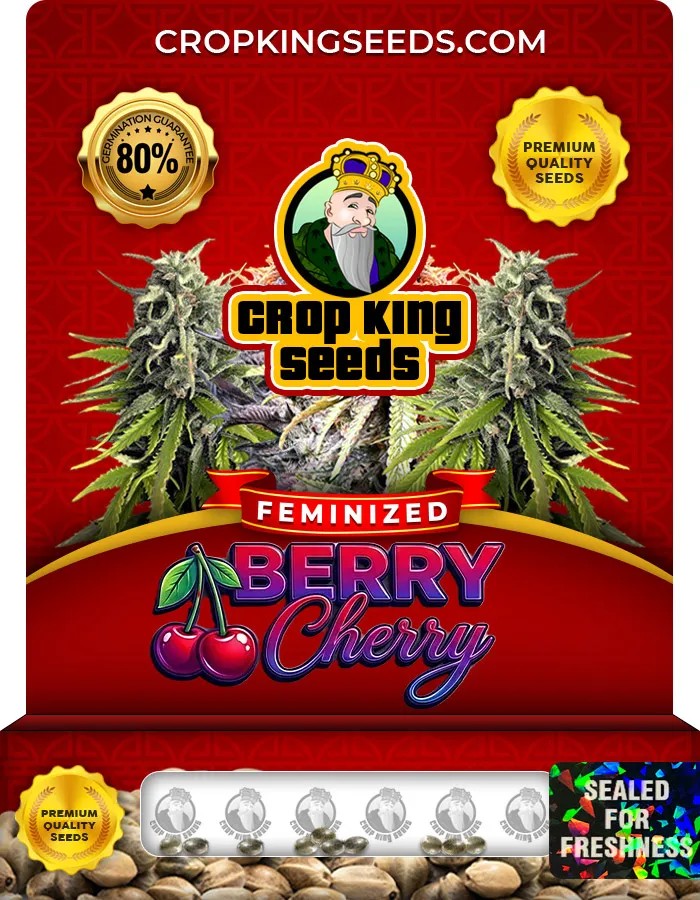 Berry Cherry Strain Feminized Seeds