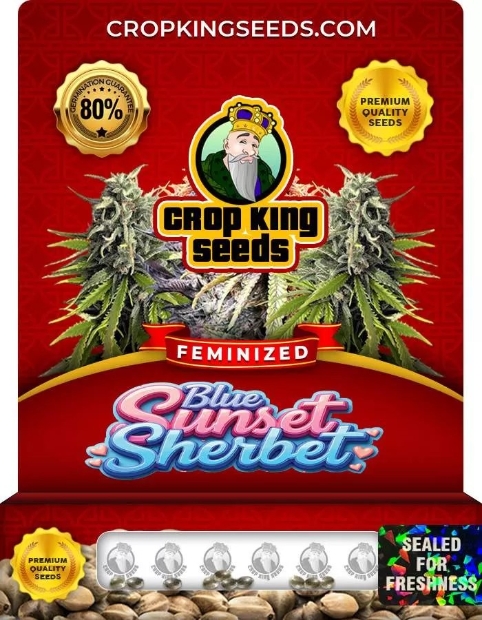 Blue Sunset Sherbet Feminized Seeds