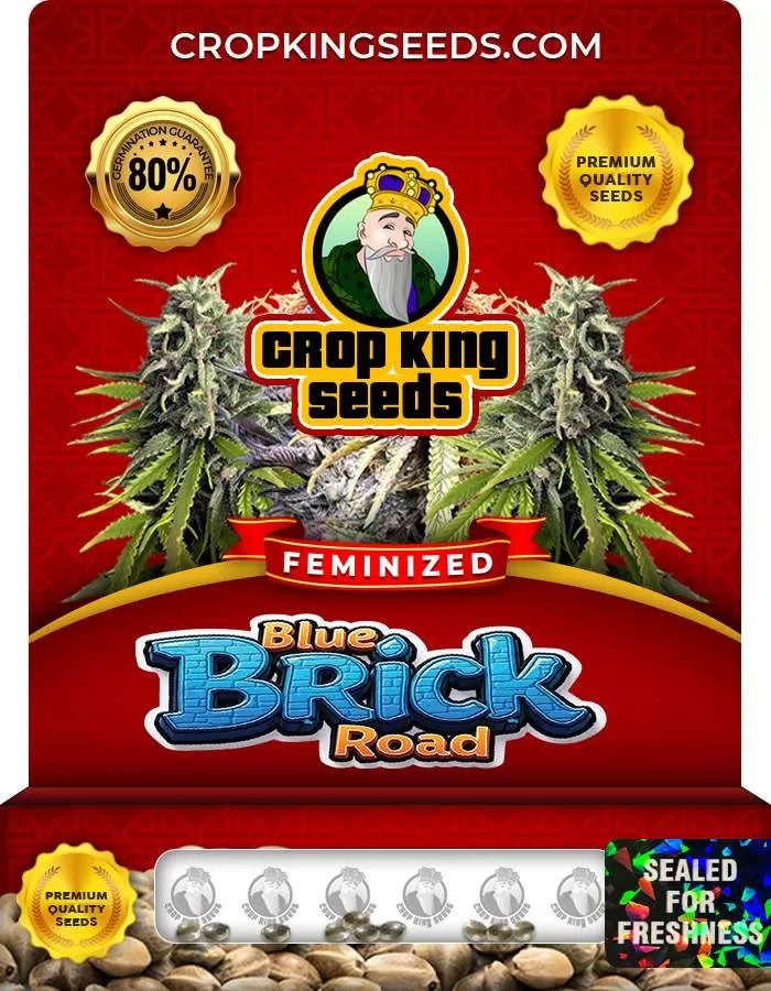 Blue Brick Road Strain Feminized Seeds