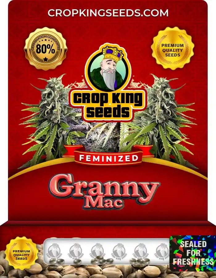 Granny Mac Strain Feminized Marijuana Seeds